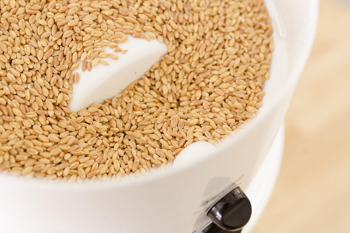 Classic High-Speed Electric Grain Grinder, 10-Amp, Stainless Steel Grinding Head