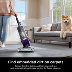 Shark Powerdetect Upright Vacuum Cleaner With HEPA Filter - AZ4002 (Certified Refurbished)