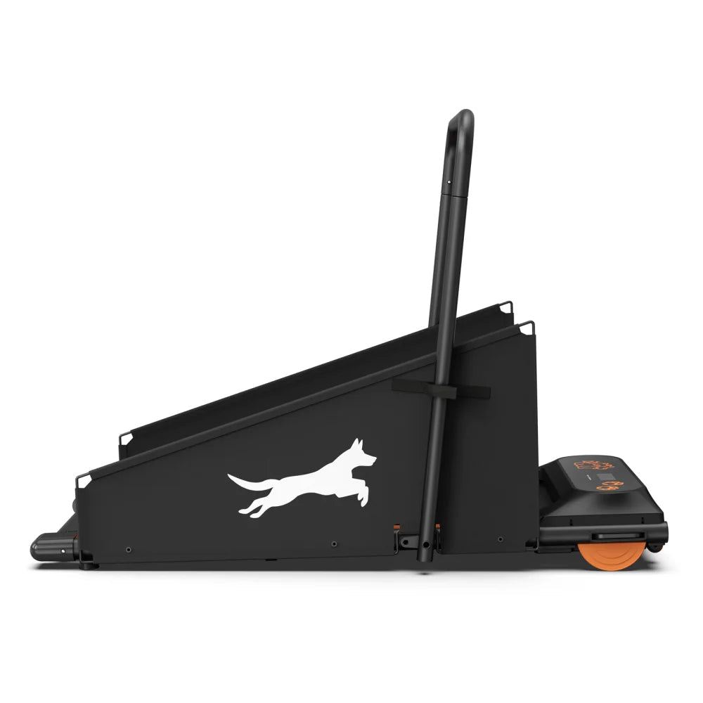 Dog Treadmill For Small And Medium Dogs - W215P235106