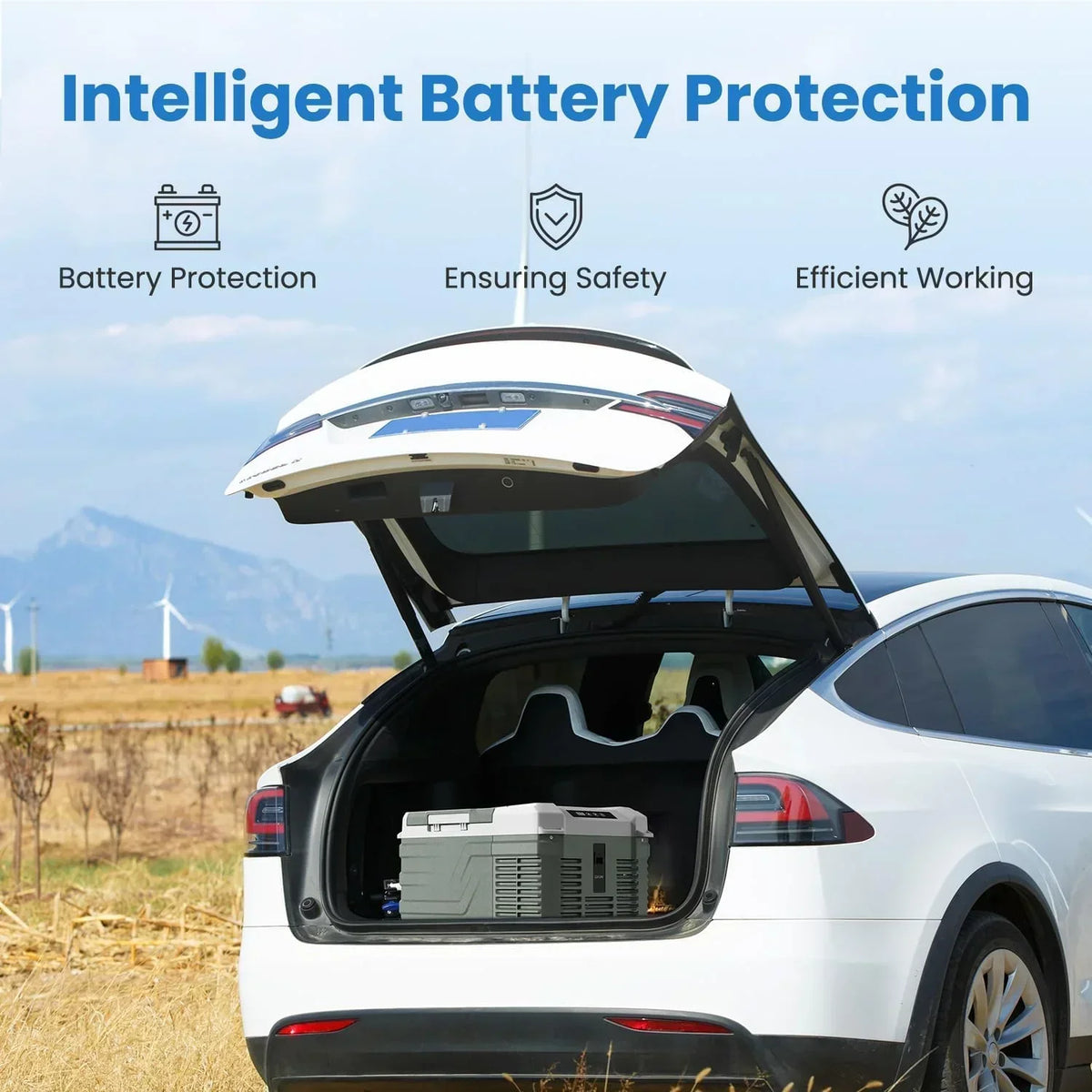 Alpicool 12V Car Refrigerator 10 Quart Portable Fridge 12/24V