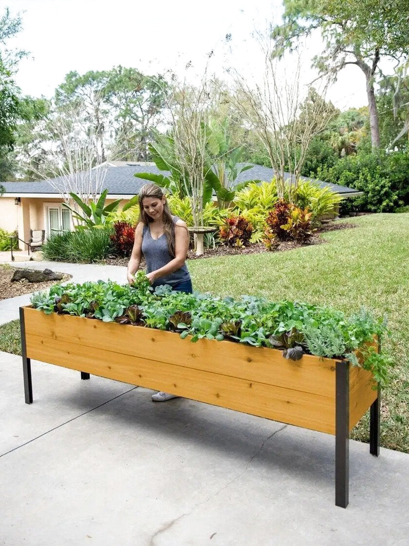 Self-Watering Eco-Stained Elevated Planter Box, Lakeside Cedar, 96 in x 24 in x 29 in