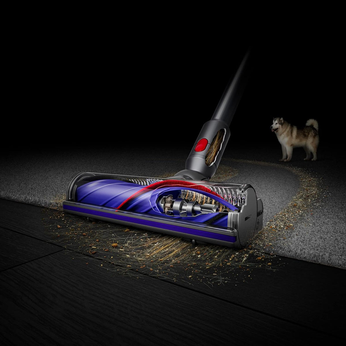 Dyson Cordless Stick Vacuum Cleaner, 0.14 Gallons, Silver/Nickel - V8 SV25