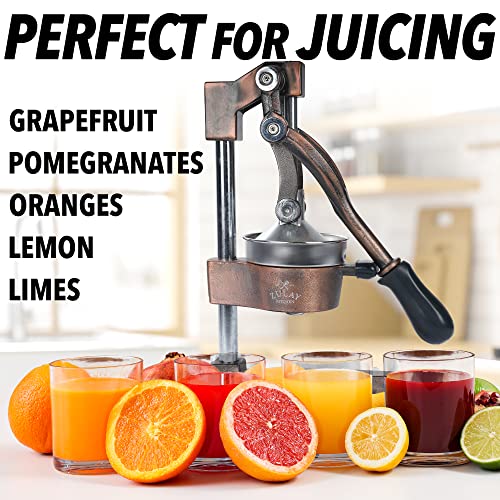 Zulay Kitchen Manual Citrus Juicer With 5-Inch Bowl