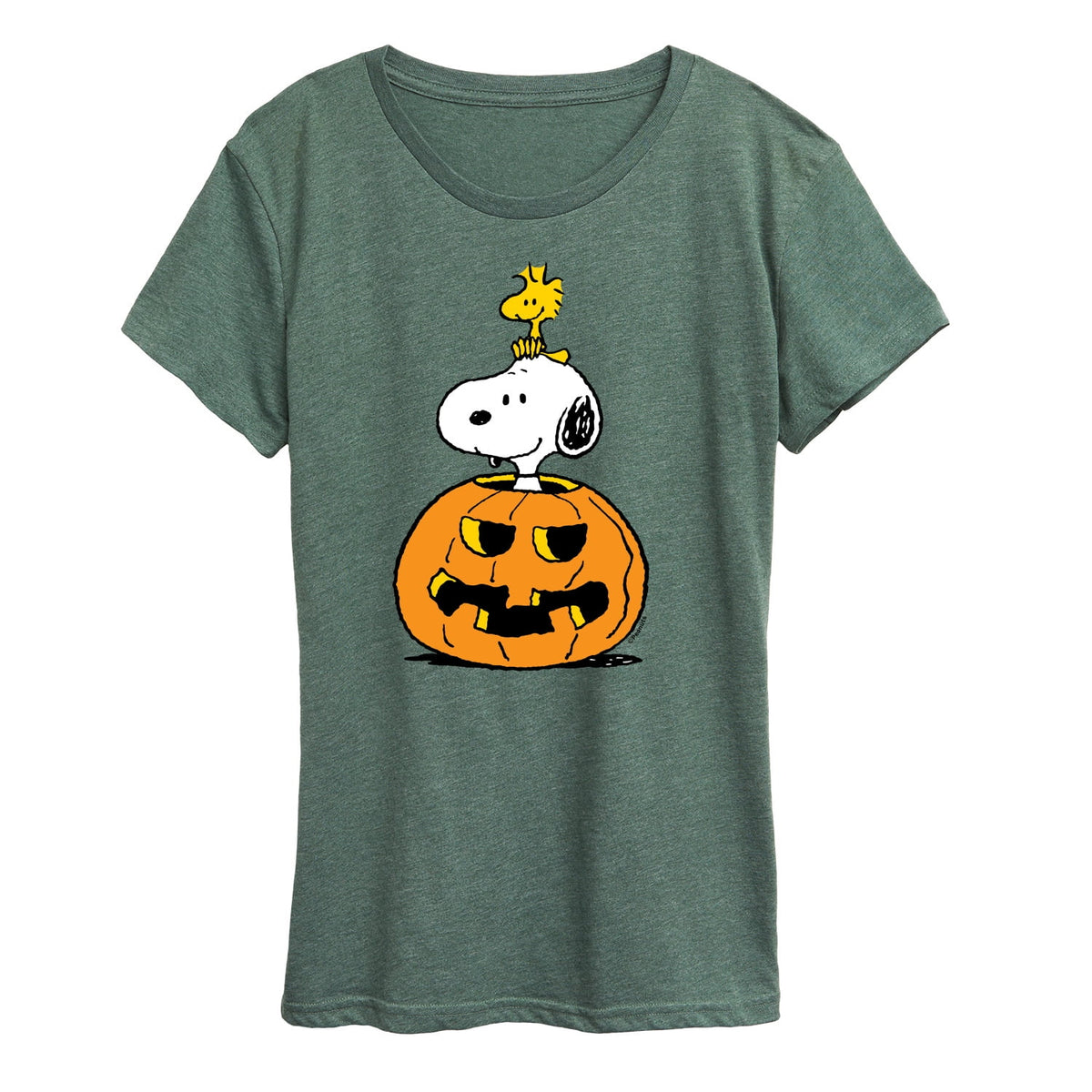 Peanuts - Snoopy Woodstock Pumpkin Women's Short Sleeve Graphic T-Shirt