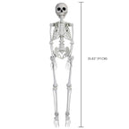 Faux Skeleton Decoration, White, 35", Halloween by Way To Celebrate