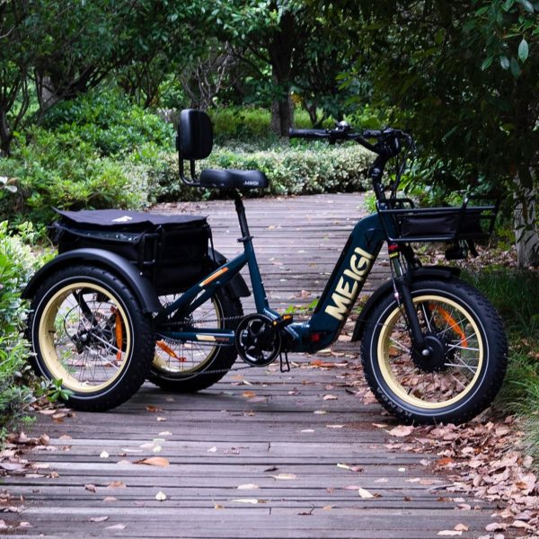 DWMEIGI Silverado 20 48V/14AH 750W Foldable Fat Tire Electric Trike, 330LBS - MG2301 96817362