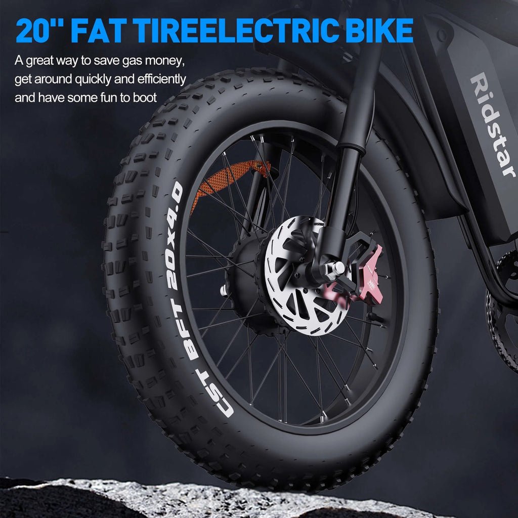 1500W Electric Mountain Bike 48V 20Ah, 20 inch Fat Tires, Shimano 7-Speed, Full Suspension - q20-1500w