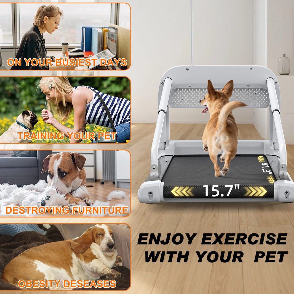 Ambifirner 2 In 1 Dog Treadmill For Small/Medium Dogs, 265 lbs Weight Capacity, Off White
