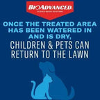 BioAdvanced 24-Hour Grub Killer Plus Lawn Pest Control Granules, 10 lb