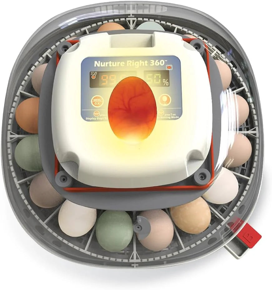Nurture Right Egg Incubator For Hatching Chicks, Holds 12-22 Eggs - Automatic Turner