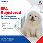 Alpha Tech Pet KennelSol Kennel Cleaner Disinfectant And Deodorizer Liquid Concentrate, 5 Gallons