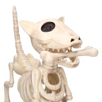 Faux Skeleton Dog Decoration, 9", Halloween by Way To Celebrate