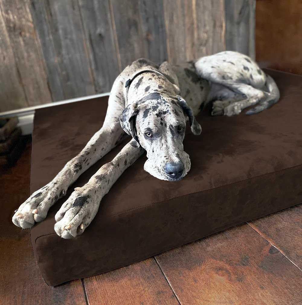 Big Barker Orthopedic Dog Bed, Extra Large, 52in L x 36in W x 7in Th - MicroSuede Cover