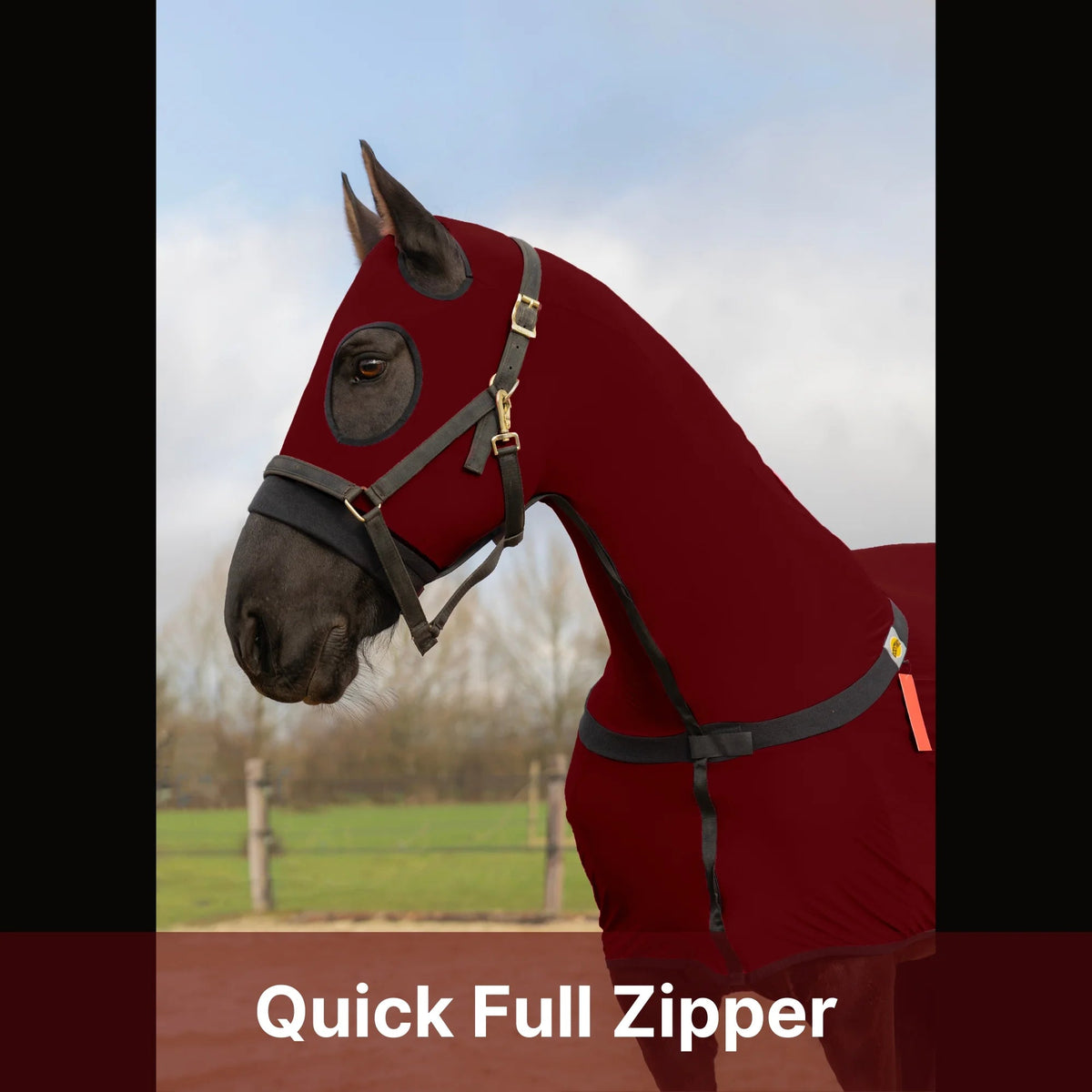 Horse Full Body Slinky With Full Zipper Face - Lycra Material, 11 Colors