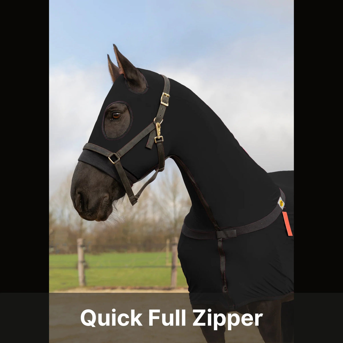 Horse Full Body Slinky With Full Zipper Face - Lycra Material, 11 Colors