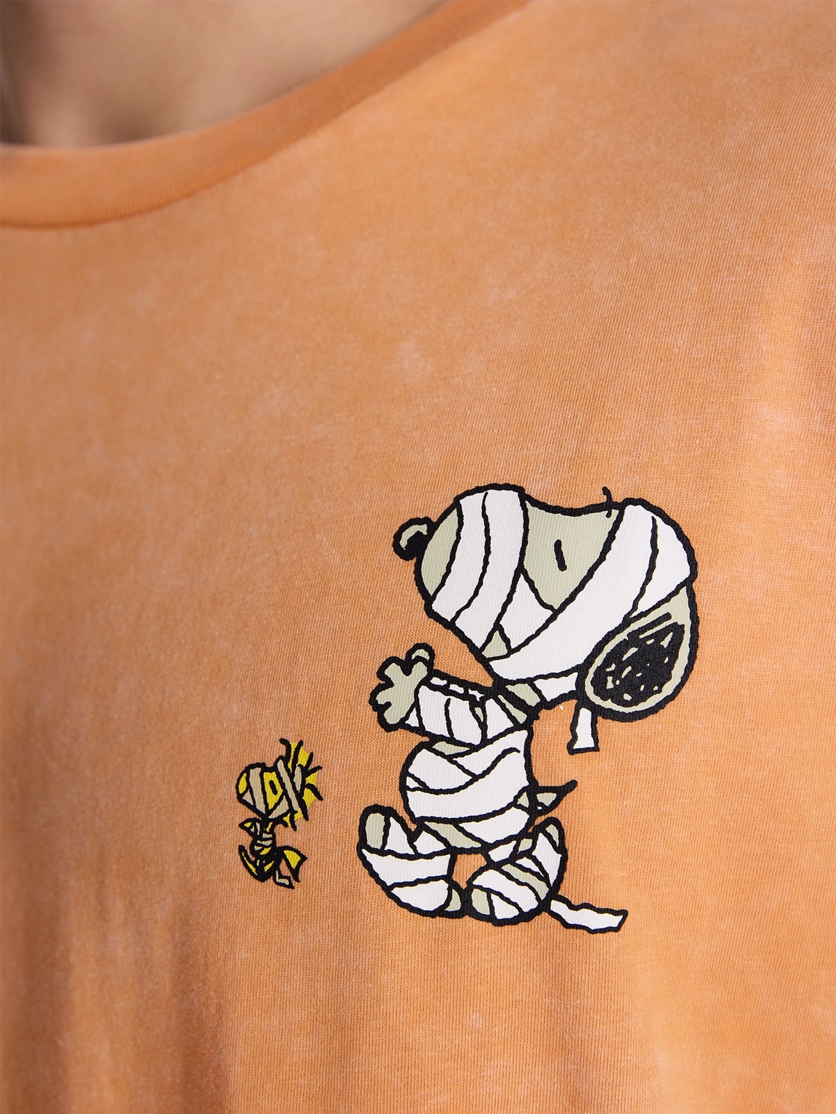 Snoopy Peanuts Men's and Big Men's Halloween Front and Back Graphic Tee, Sizes XS-5XL