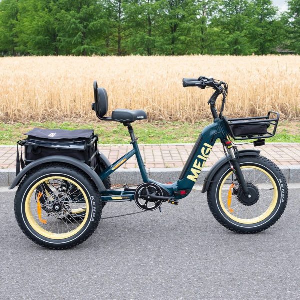 DWMEIGI Silverado 20 48V/14AH 750W Foldable Fat Tire Electric Trike, 330LBS - MG2301 96817362