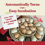 Harris Farms Egg Incubator For Hatching Chicks, Holds 22 Eggs - Nurture Right