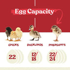 Harris Farms Egg Incubator For Hatching Chicks, Holds 22 Eggs - Nurture Right