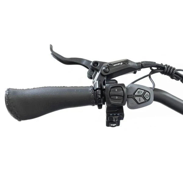 DWMEIGI Silverado 20 48V/14AH 750W Foldable Fat Tire Electric Trike, 330LBS - MG2301 96817362