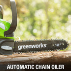 Greenworks 40V 12 in Cordless Chainsaw With 2.0 Ah Battery And Charger - 20262