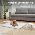 Cooling & Heating Pet Bed Water Pad, Green, 41 in x 28 in x 4 in