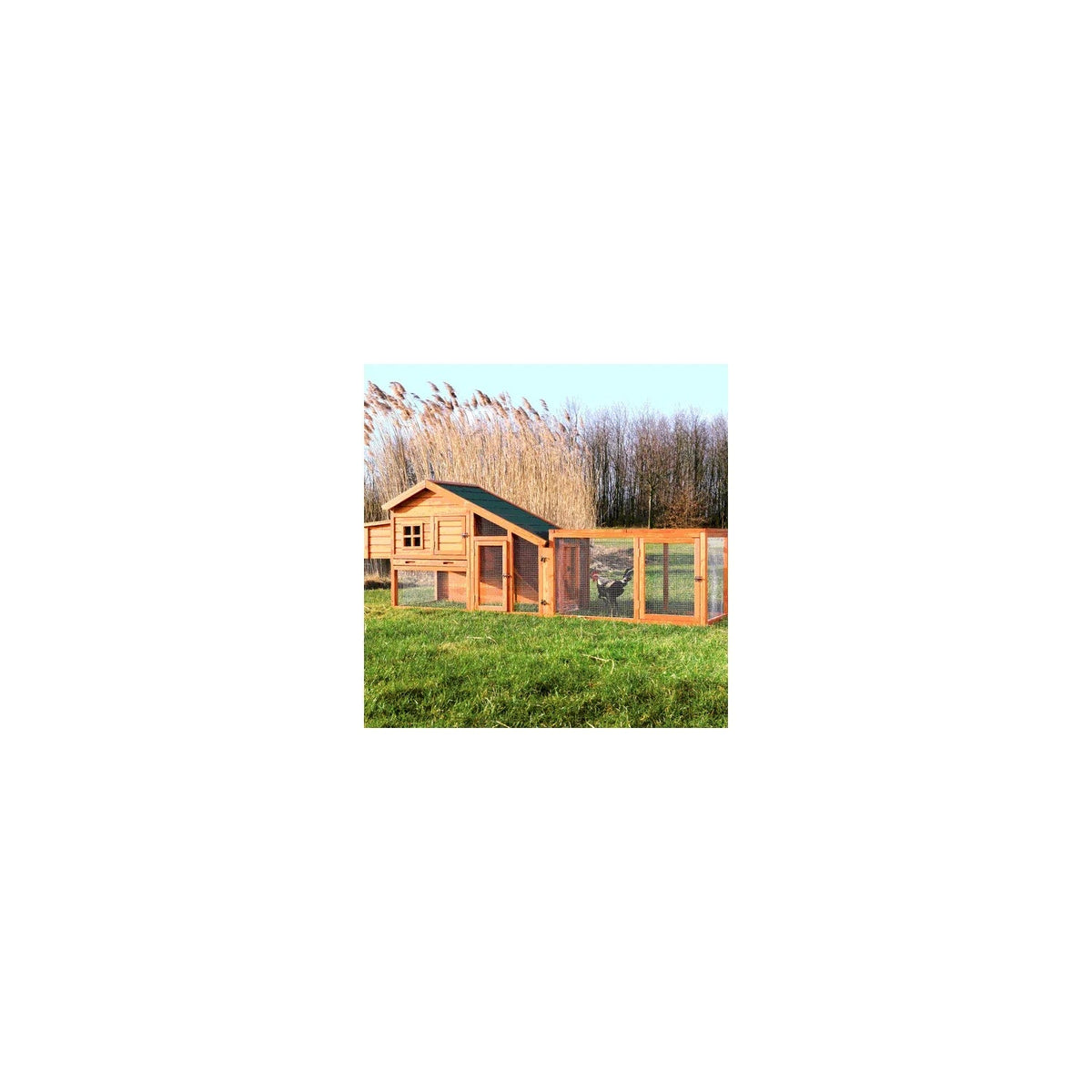 TRIXIE Weatherproof Outdoor Wooden Chicken Coop With 2 Nesting Boxes And Run, Brown