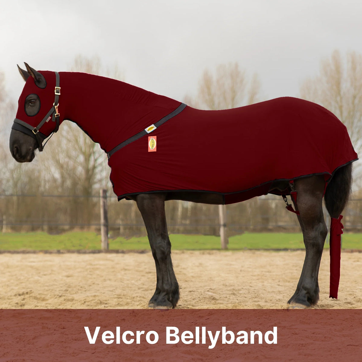 Horse Full Body Slinky With Full Zipper Face - Lycra Material, 11 Colors
