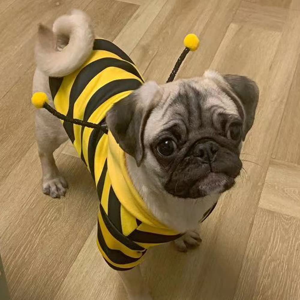 WILLED Pet Bee Halloween Costume for Cats and Small to Medium Dogs, Party Cosplay Dress Up Festival Decoration for Pets