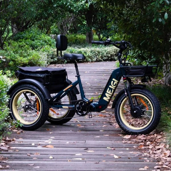 DWMEIGI Silverado 20 inch 48V/14Ah 750W Folding Electric Tricycle With Wide Tires, 150 kg - MG2301
