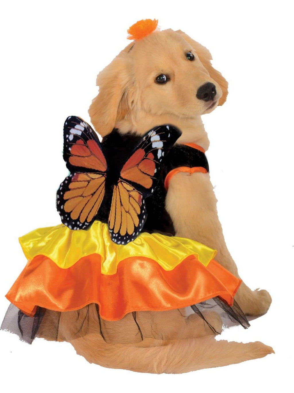 Rubies Monarch Butterfly Pet Costume for Dogs or Cats, Large