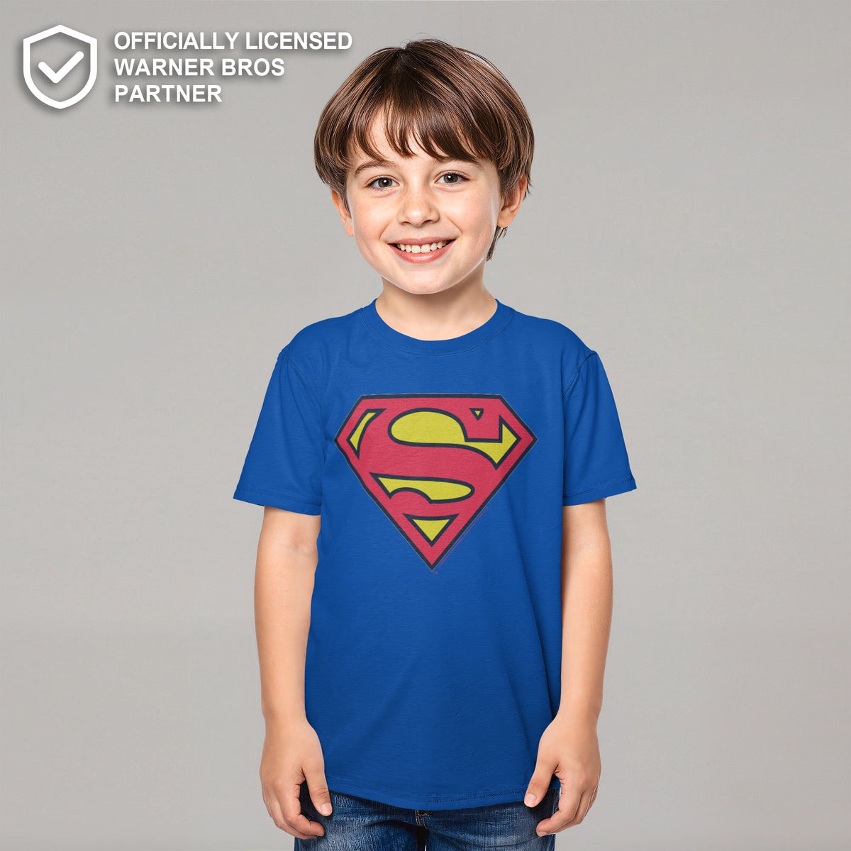 Boy's Superman Classic Logo Graphic Tee Royal Blue Medium