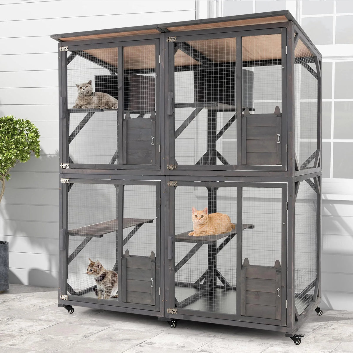 Outdoor Cat Enclosure, Grey, 63 x 27.5 x 72 in