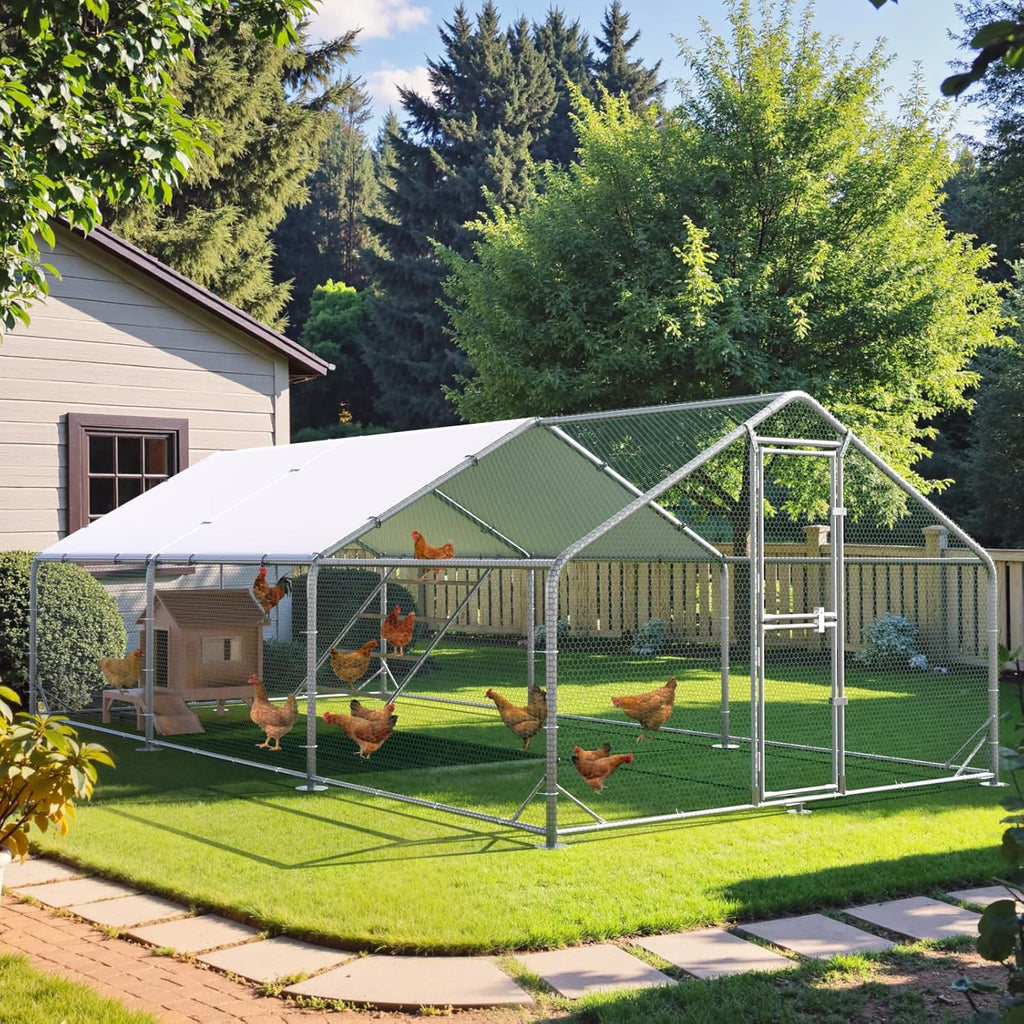 Metal Chicken Run With Feeding Door, Anti-UV Cover And Perch - 6-5x10-ft, 13x10-ft, 20x10-ft Or 26x10-ft