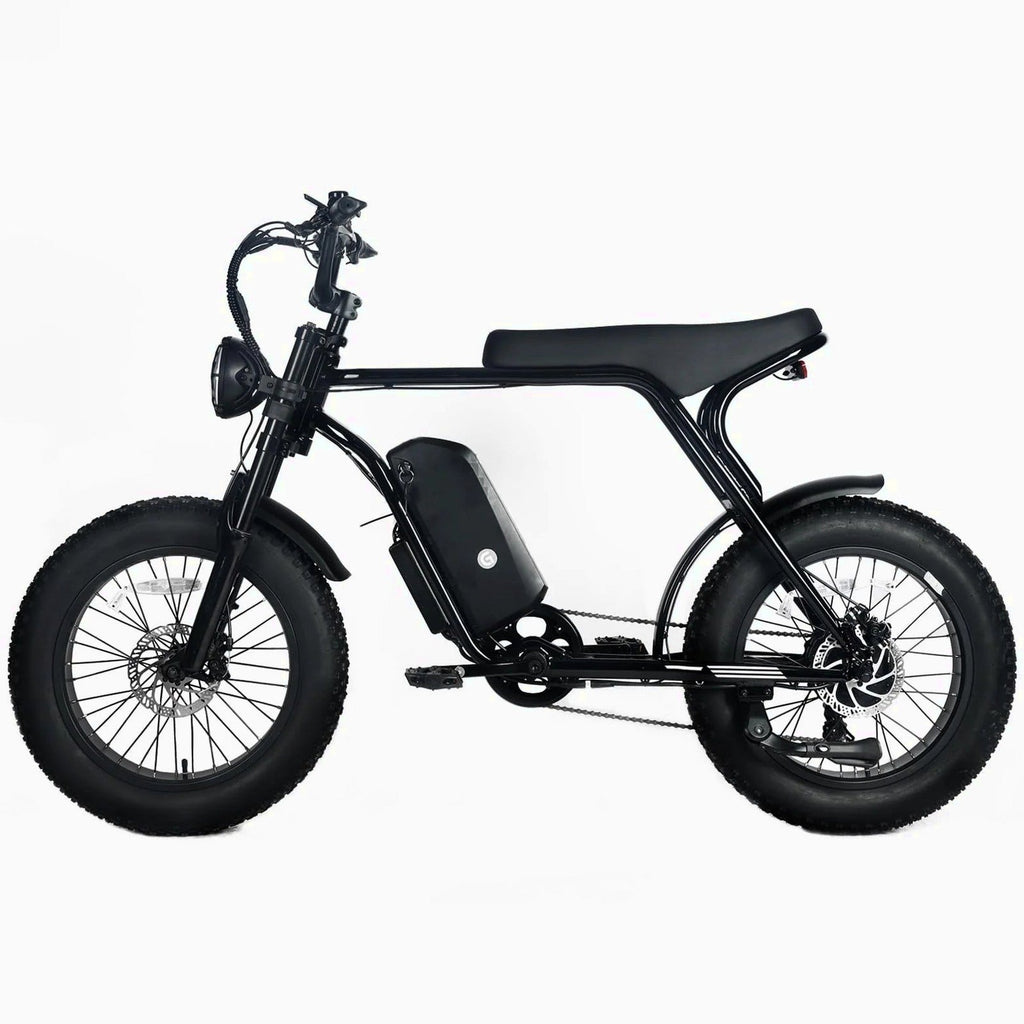 Electric Mountain Bike For Adults, 20 x 4.0 Fat Tires, 1000W Motor, 48V 20Ah Battery, Black - G-M1Sp