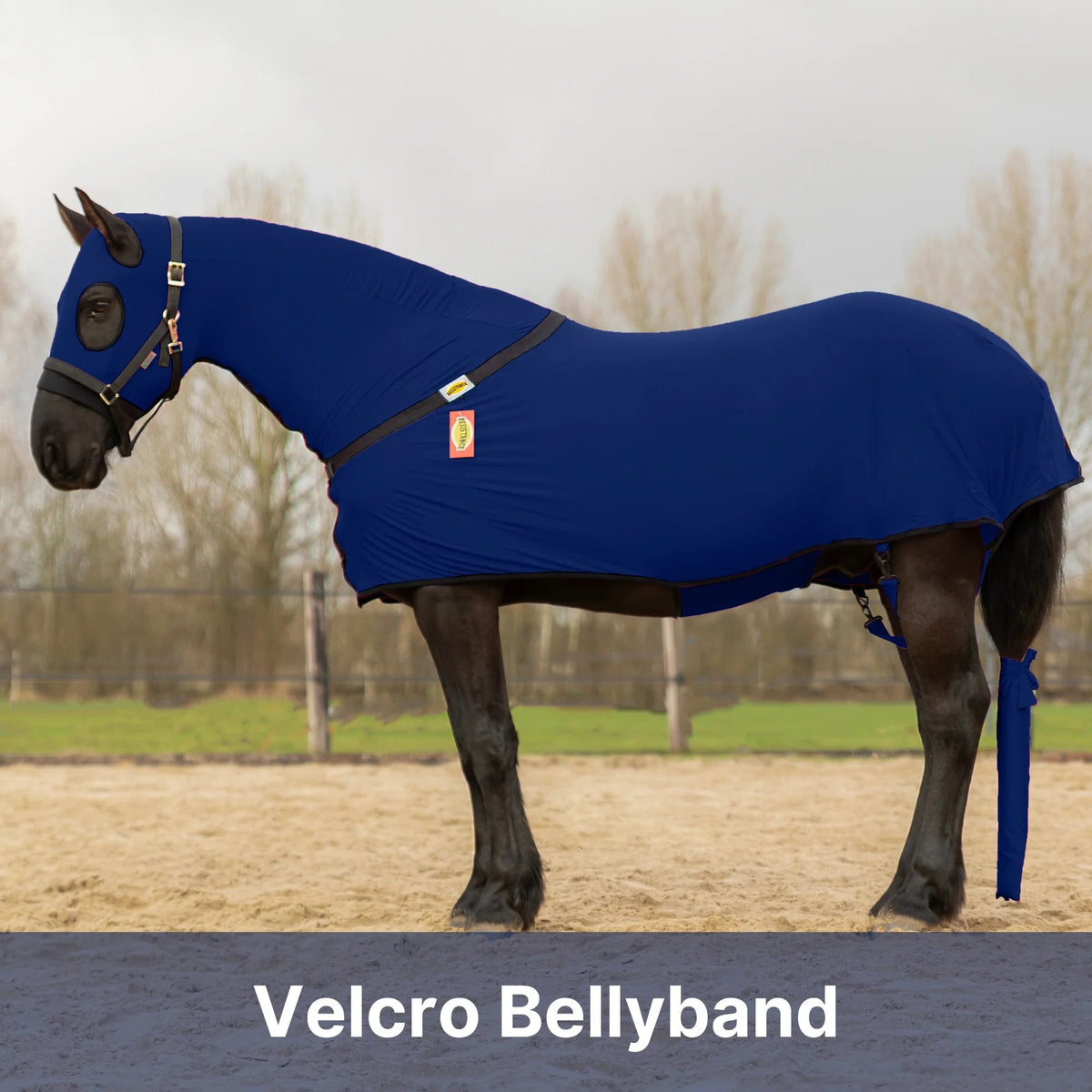 Horse Full Body Slinky With Full Zipper Face - Lycra Material, 11 Colors
