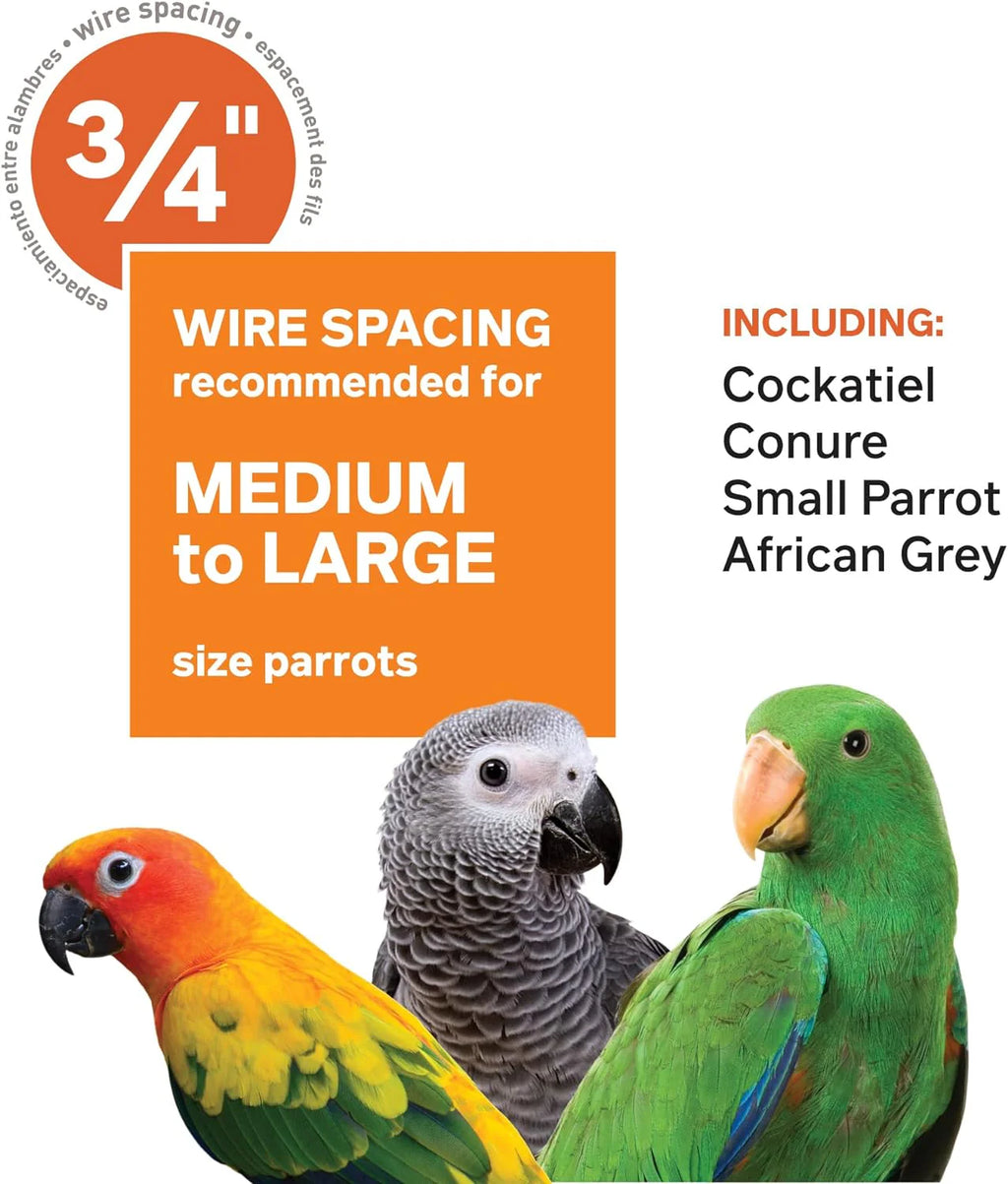 Prevue Pet Products Wrought Iron Select Bird Cage, Chalk White, 36-Inch x 24-Inch x 66-Inch - 3154C