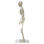 Way To Celebrate 8-Foot Animated Skeleton Plastic Outdoor Halloween Decor