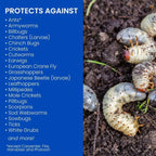 BioAdvanced 24-Hour Grub Killer Plus Lawn Pest Control Granules, 10 lb