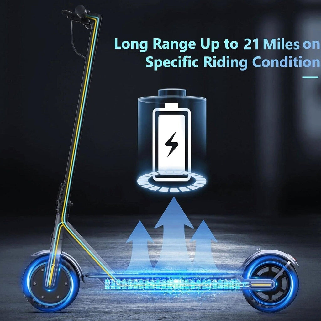 Electric Scooter 10 Inch Solid Tires, 500W, Dual Suspension