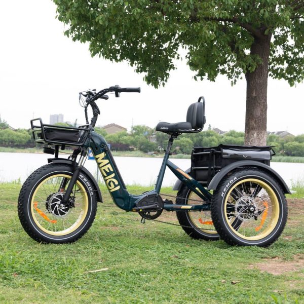DWMEIGI Silverado 20 48V/14AH 750W Foldable Fat Tire Electric Trike, 330LBS - MG2301 96817362