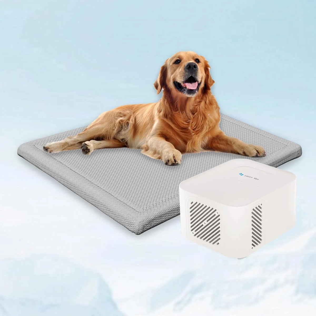 Cooling & Heating Pet Bed Water Pad, Green, 41 in x 28 in x 4 in