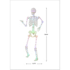 Light-Up LED Poseable Skeleton, Multicolor, 5', Halloween by Way To Celebrate