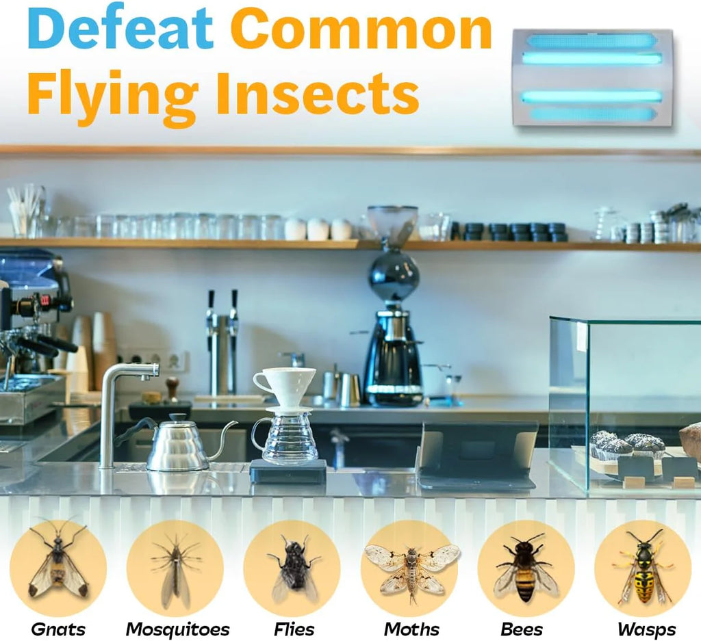 iFly Indoor Wall-Mounted Ultraviolet Fly Trap, Stainless Steel, 2.5 in Depth