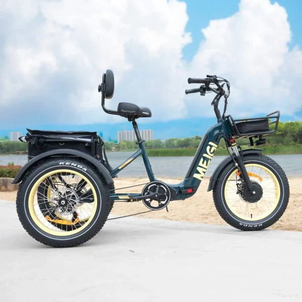 DWMEIGI Silverado 20 inch 48V/14Ah 750W Folding Electric Tricycle With Wide Tires, 150 kg - MG2301