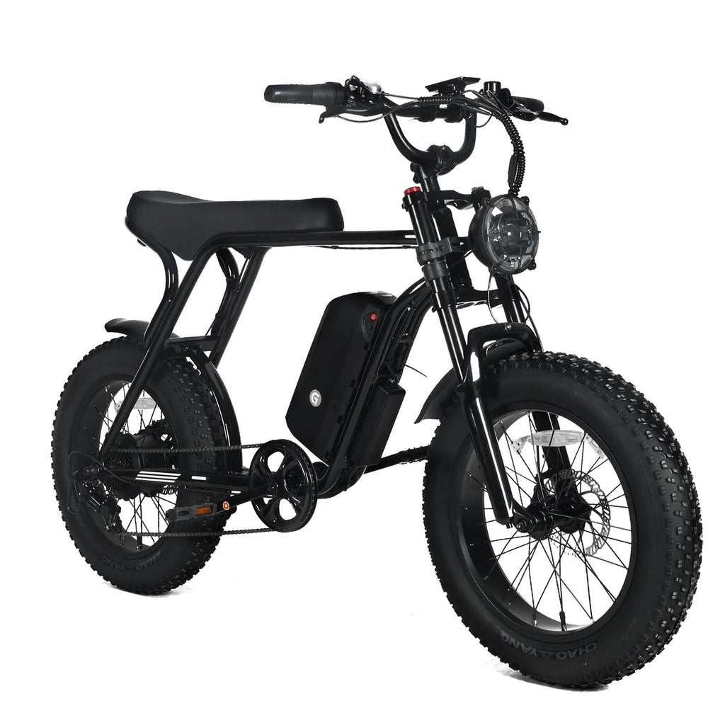 Electric Mountain Bike For Adults, 20 x 4.0 Fat Tires, 1000W Motor, 48V 20Ah Battery, Black - G-M1Sp