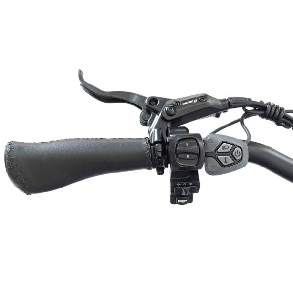 DWMEIGI Silverado 20 Foldable Fat Tire Electric Trike 48V/14AH 750W, 330LBS - MG2301