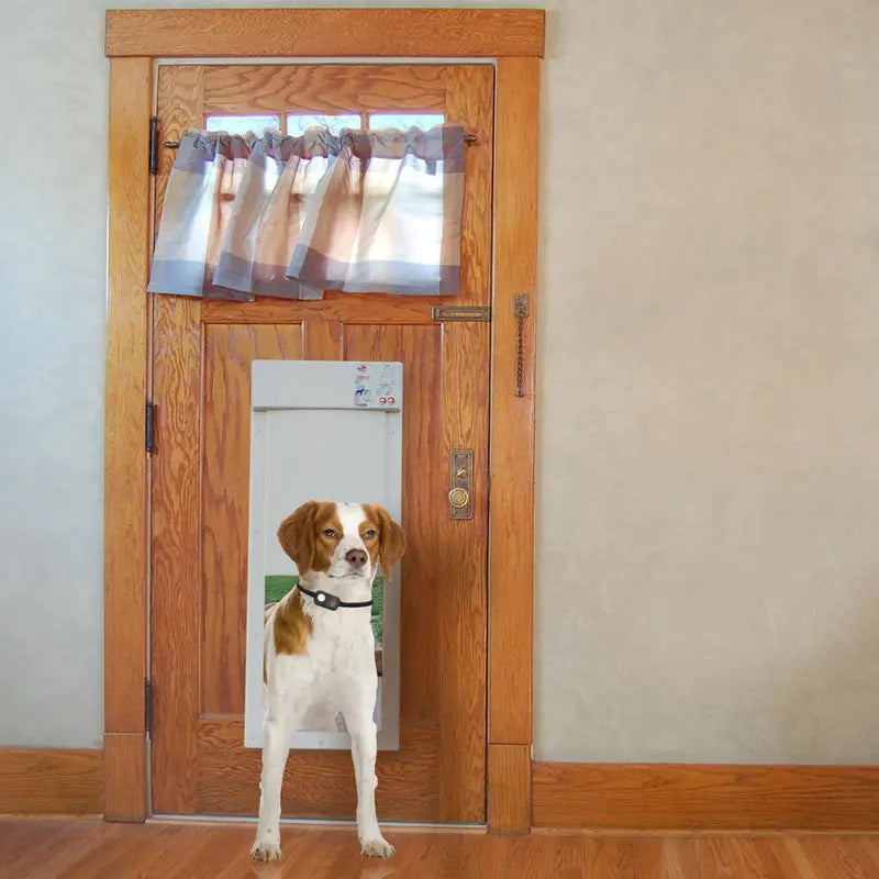 Power Pet Large Electronic Pet Door, RFID-Activated Entry System For Medium To Large Dogs - PX-2