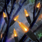 Indoor/Outdoor 50-Count LED Mini String Lights, 9.5', Halloween by Way To Celebrate