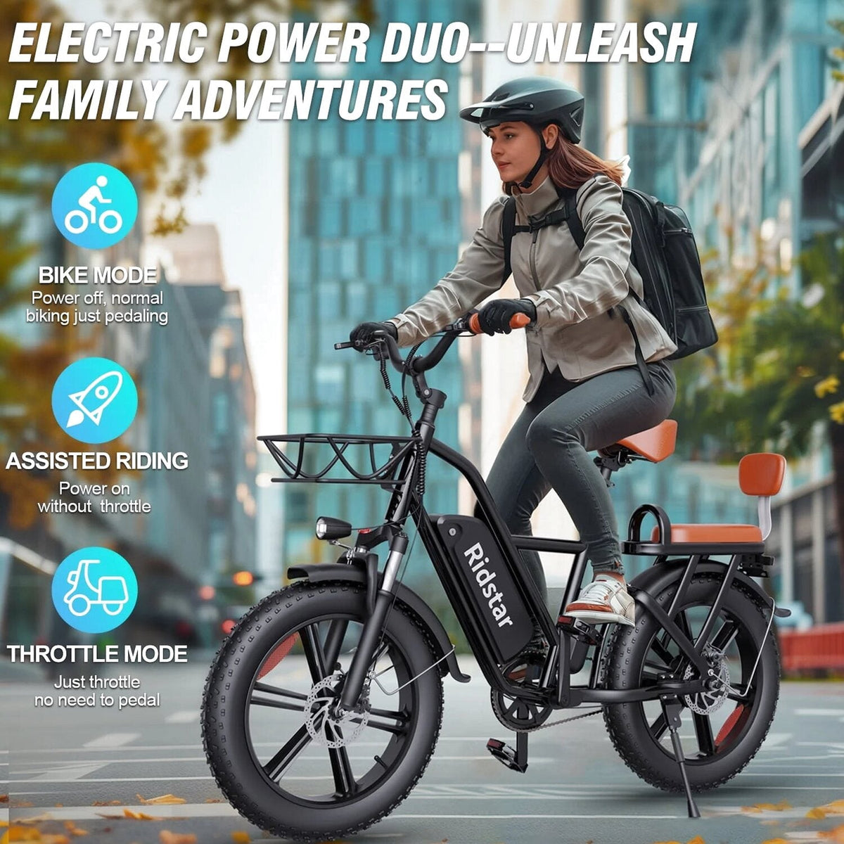 Electric Adult E-Bike 750W 48V 15AH 20in x 4.0 Fat Tire 2 Seater - UL2849